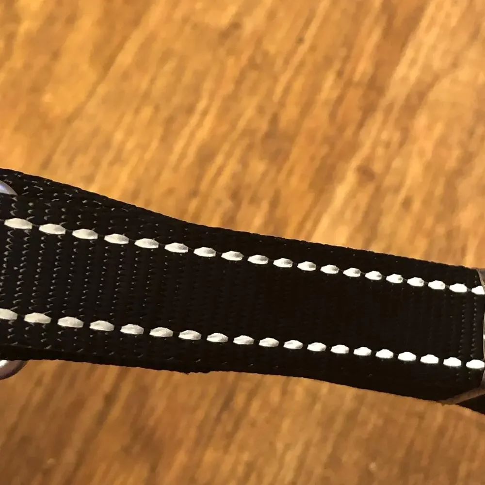 Martha Stewart Black and Silver Nylon Dog Leash